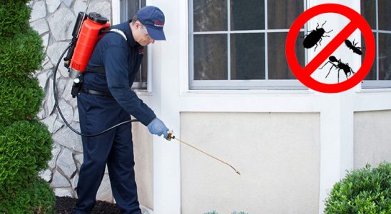 Kurtalan Akrep İlaçlama böcek ilaçlama ve haşere kontrolü — ilaclama-tr.com